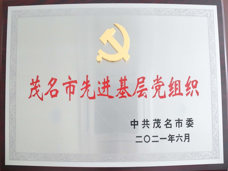 中共茂名市委關(guān)于表彰茂名市優(yōu)秀共產(chǎn)黨員、茂名市優(yōu)秀黨務(wù)工作者和茂名市先進(jìn)基層黨組織的決定（2021年6月） (2).jpg