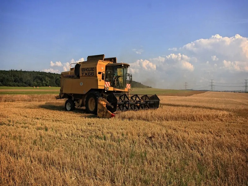 1657179148133398.jpg 收割圖(1).jpg